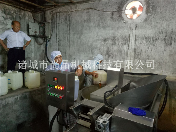 重庆热销炸白条鱼设备 专业技术 双层网带运行