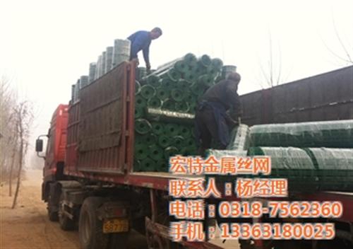 圈鸡荷兰网批发_荷兰网_安平荷兰网厂(多 圈山荷兰网批发 浸塑荷兰网批发