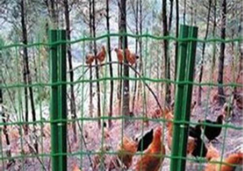 养殖荷兰网厂家直销,养殖荷兰网,宏特金属 养殖荷兰网生产厂 养殖荷兰网规格 养殖荷兰网哪家便