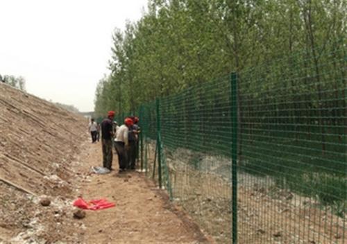 圈地荷兰网哪家好_圈地荷兰网_荷兰网生产&nbsp;&nbsp;圈地荷兰网生产厂&nbsp;&nbsp;果园圈地荷兰网规&nbsp;&nbsp;果园圈地荷兰网价