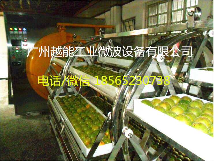 罗汉果烘干机 微波真空低温罗汉果烘干设备 首选越能公司&nbsp;&nbsp;微波烘干设备