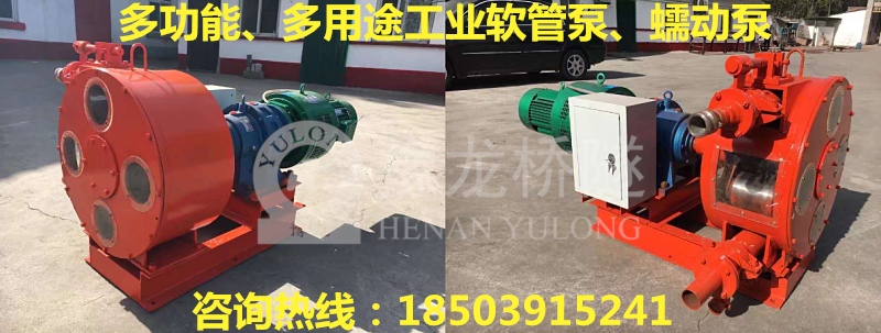 海南省软管泵图片
