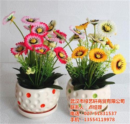 介休市开业花卉,绿艺轩,开业花卉租摆服务  开业花卉出租报价  开业花卉租赁价格