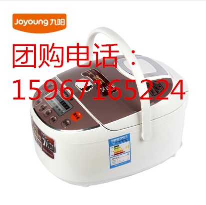 广西九阳总代理商 广西九阳电饭煲总经销 广西桂林九阳专卖店