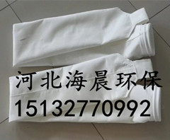 常温除尘滤袋质量佳&nbsp;&nbsp;除尘布袋&nbsp;&nbsp;集尘袋&nbsp;&nbsp;防尘袋