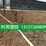 大田喷灌厂家_农用喷灌带供应