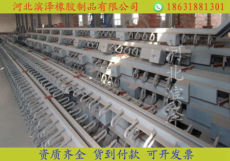 滨泽牌呼玛县模数式伸缩缝全国供货