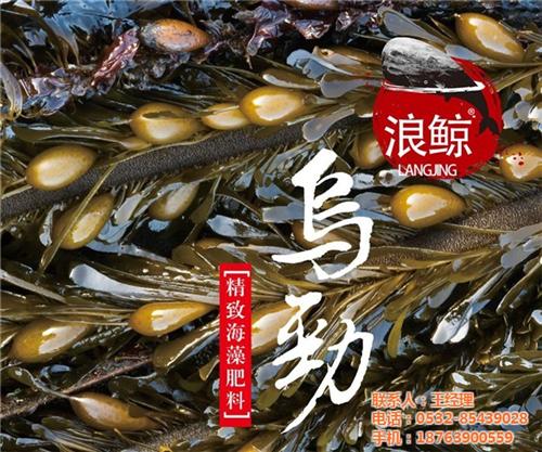 生物肥料浪鲸乌劲,浪鲸乌劲,苏菲格耳国际&nbsp;&nbsp;浪鲸乌劲肥料&nbsp;&nbsp;海藻肥料浪鲸乌劲