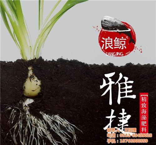浪鲸雅捷肥料,雅捷,苏菲格耳国际贸易(查&nbsp;&nbsp;海藻肥料雅捷&nbsp;&nbsp;进口肥料雅捷