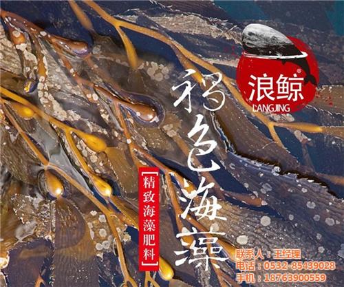 台湾翔云浪鲸褐色海藻、浪鲸褐色海藻、苏菲&nbsp;&nbsp;浪鲸褐色海藻肥料&nbsp;&nbsp;海藻肥料浪鲸褐色