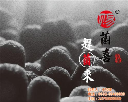 微生物菌剂赶菌来|赶菌来|苏菲格耳国际贸&nbsp;&nbsp;生物肥料赶菌来&nbsp;&nbsp;赶菌来肥料