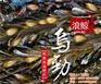 生物肥料浪鲸乌劲,浪鲸乌劲,苏菲格耳国际