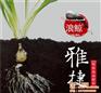 浪鲸雅捷肥料,雅捷,苏菲格耳国际贸易(查