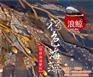 台湾翔云浪鲸褐色海藻、浪鲸褐色海藻、苏菲