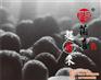 微生物菌剂赶菌来|赶菌来|苏菲格耳国际贸
