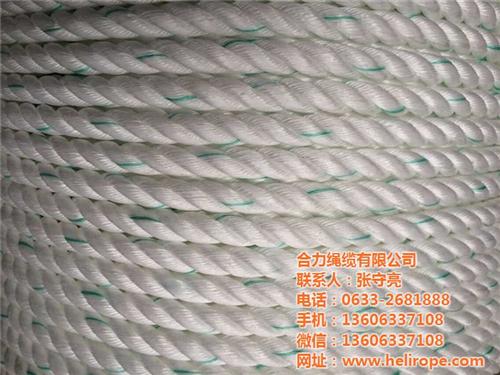 庐阳养鱼用绳,绳,合力绳缆(查看)  瑶海海虹绳  庐江运输用绳