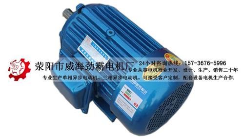 电机价格_电机_劲霸电机(查看)  电机排名  电机品牌