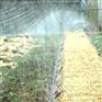 蔬菜喷灌带价格_大棚喷灌带生产厂家_山东