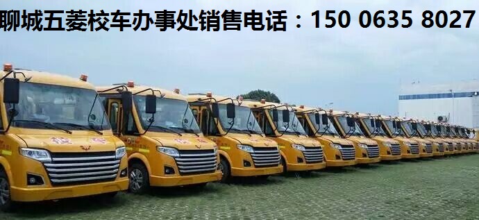 聊城莘县卖校车的电话是多少  聊城五菱校车  聊城宇通校车  聊城中通校车