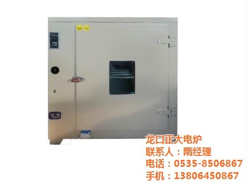 101AB-4不锈钢干燥箱_龙口正大电炉  101A-6电热  101A-4电热