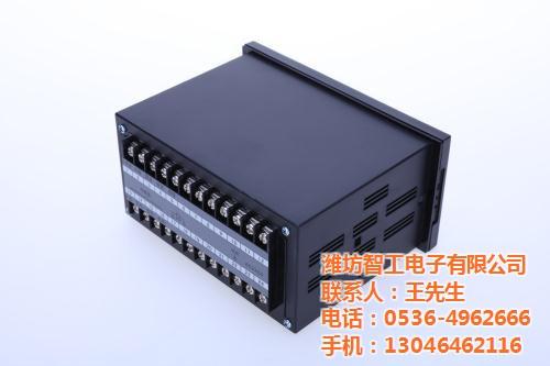 甘肃数字称重显示器,智工,专业数字称重显  专业数字称重显示  数字称重显示器生  数字称重显示器价