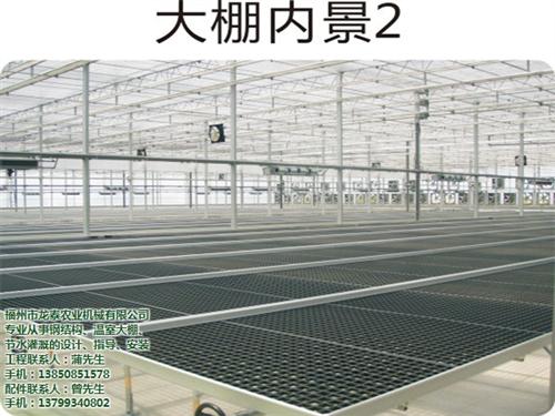 福州温室大棚设计公司、温室大棚、福州龙泰&nbsp;&nbsp;福州温室大棚公司&nbsp;&nbsp;福州温室大棚价格