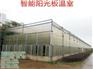 温室大棚_福州龙泰温室大棚_福州供应温室
