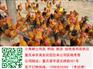 丰都青脚土鸡苗批发　丰都供应正宗土鸡苗　丰都鸡苗价格
