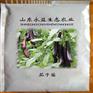 山东茄子苗销售/国内茄子苗口碑好/国内茄