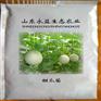 山东甜瓜苗价格/国内甜瓜苗口碑好/山东甜