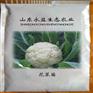 临沂花菜苗口碑好