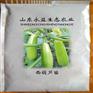 临沂西葫芦苗批发 山东西葫芦苗口碑好 西