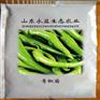 辣椒苗批发-国内辣椒苗-山东辣椒苗批发