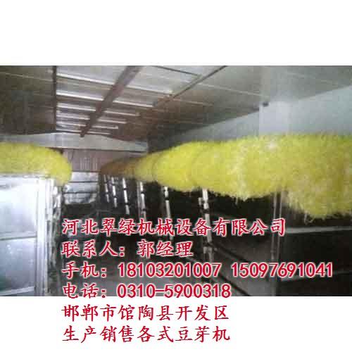 豆芽机价格、北京豆芽机、翠绿机械(查看)&nbsp;&nbsp;不锈钢豆芽机&nbsp;&nbsp;专业生产豆芽机的