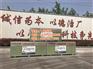 石膏板,鲁巧匠,临沂石膏板价格