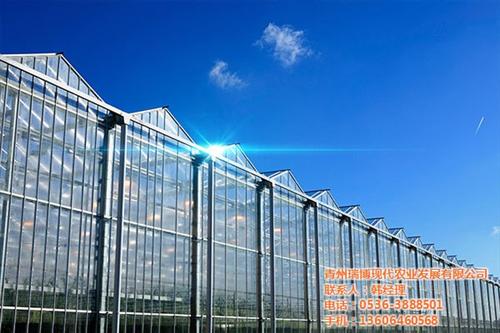 温室工程公司、温室工程、新昌晟物产(图)&nbsp;&nbsp;温室工程哪家好