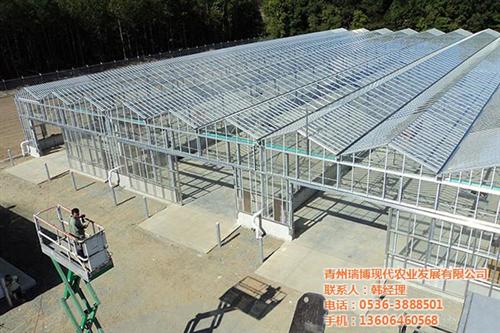 温室工程厂家,温室工程,新昌晟物产(图) 温室工程生产厂家