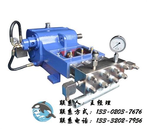 天津高压泵价格,天津高压泵,海威斯特(查 天津高压泵批发 天津高压泵厂家
