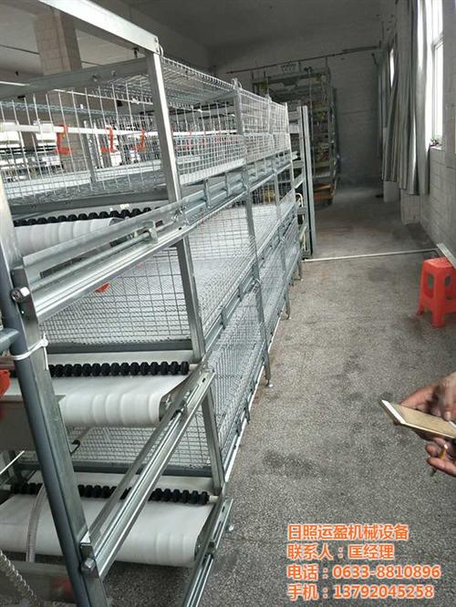 运盈机械_鸡笼_五莲鸡笼子厂家  公鸡笼具运盈机械