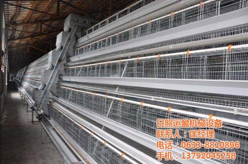 鸡笼、运盈机械、山东鸡笼  不锈钢丝鸡笼  五莲蛋鸡笼生产厂