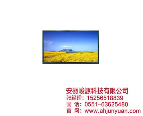 阜阳海康监视器_安徽峻源_海康监视器定制  海康监视器多少钱  海康监视器价钱