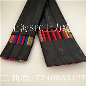 【扁电缆 影视灯光扁电缆  传输电能或信号及光讯号】&nbsp;&nbsp;舞台灯光扁电缆