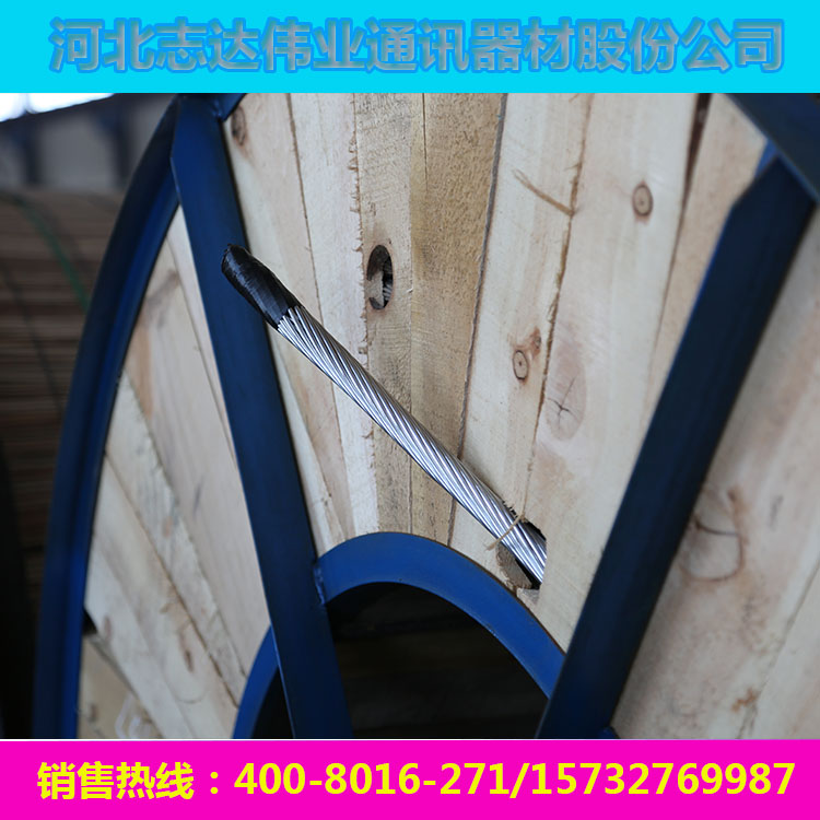 志达伟业 钢芯铝绞线/LGJ/JL/G1A 生产厂家