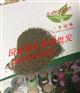 四川巴中卖牛羊食用的牧草草种高丹草种子批发