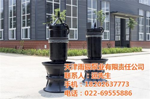 潜水轴流泵型号_潜水轴流泵_雨辰(多图) 潜水轴流泵价格 潜水轴流泵厂家