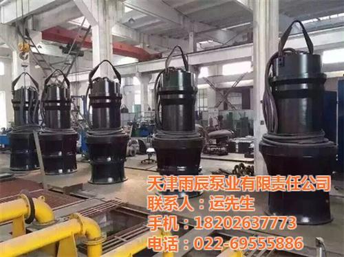 雨辰_天津潜水轴流泵_天津潜水轴流泵价格  天津潜水轴流泵参  天津潜水轴流泵型