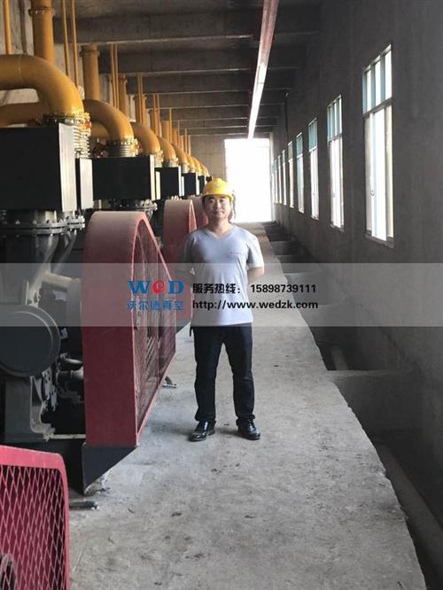 水环真空泵 厂家|水环真空泵|沃尔德真空  水环真空泵 型号  水环真空泵供应商