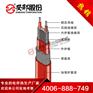 RDP2-J3油气储罐保温用并联恒功率伴热带销售
