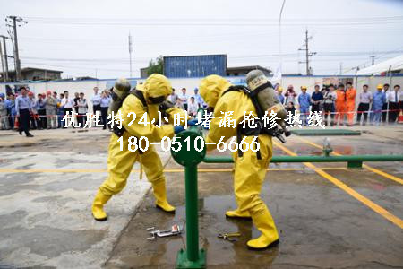 大理市供热管通带压封堵公司企业规模大
