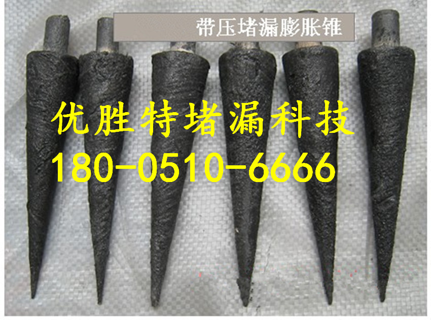 武安市带压封堵分公司